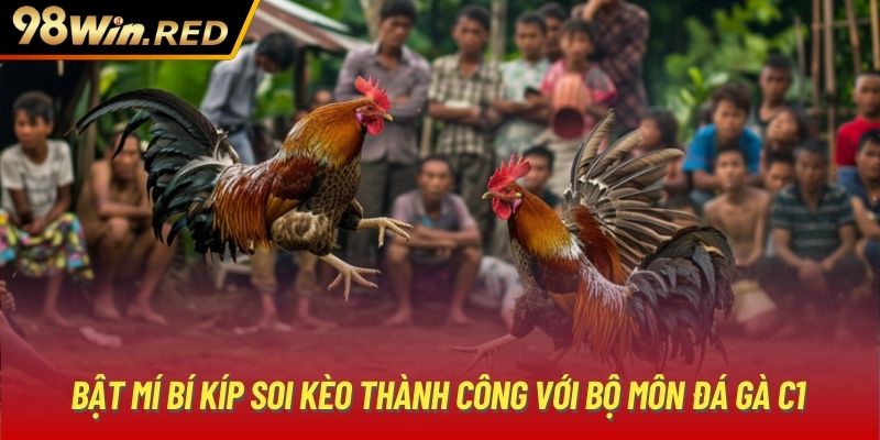 Bật mí bí kíp soi kèo thành công với bộ môn đá gà C1