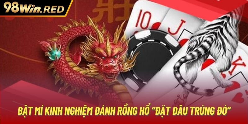 Bật mí kinh nghiệm đánh rồng hổ “đặt đâu trúng đó”