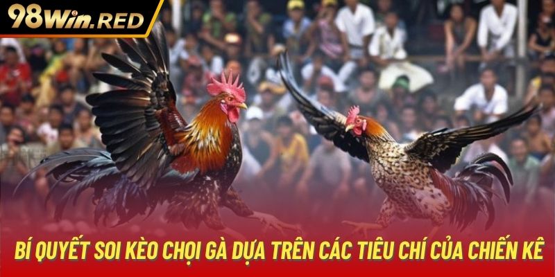 Bí quyết soi kèo chọi gà dựa trên các tiêu chí của chiến kê