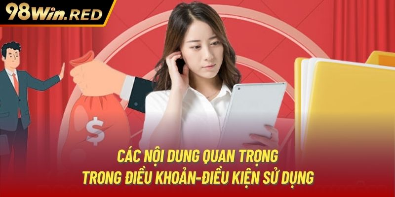 Các nội dung quan trọng trong điều khoản-điều kiện sử dụng