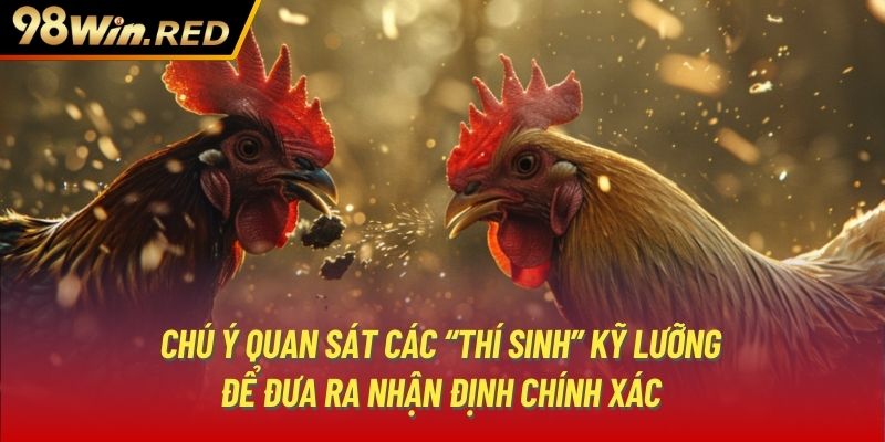 Chú ý quan sát các “thí sinh” kỹ lưỡng để đưa ra nhận định chính xác