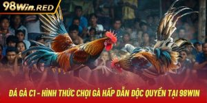 Đá Gà C1 - Hình Thức Chọi Gà Hấp Dẫn Độc Quyền Tại 98Win