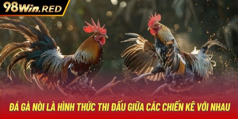 Đá gà nòi là hình thức thi đấu giữa các chiến kê với nhau