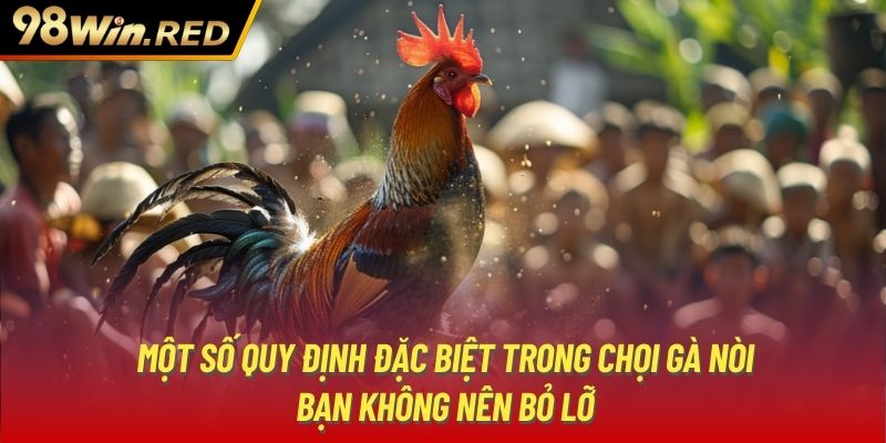 Một số quy định đặc biệt trong chọi gà nòi bạn không nên bỏ lỡ