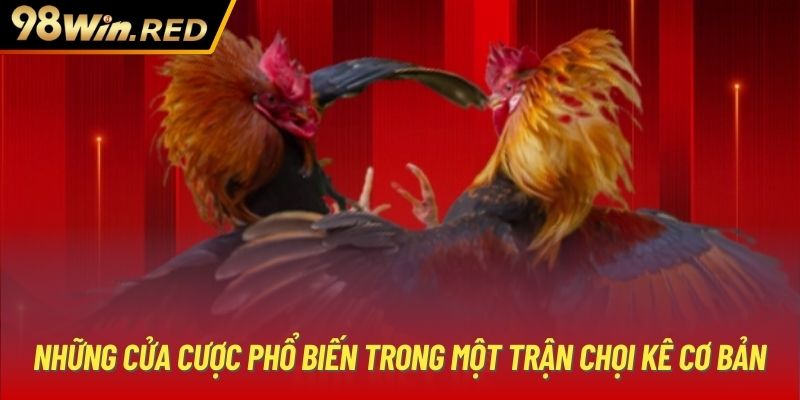 Những cửa cược phổ biến trong một trận chọi kê cơ bản