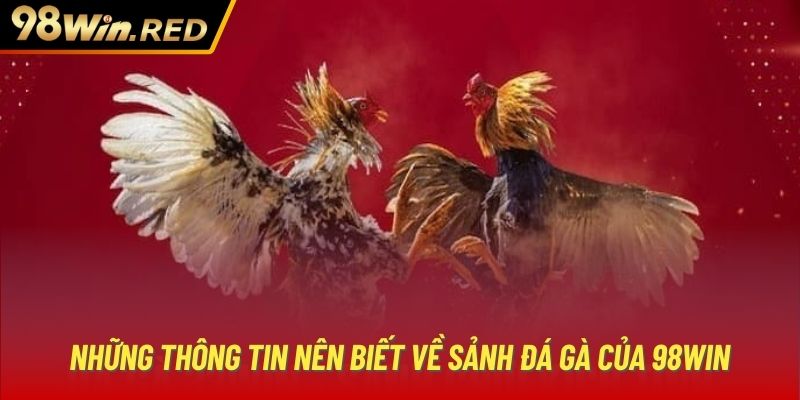 Những thông tin nên biết về sảnh đá gà của 98Win