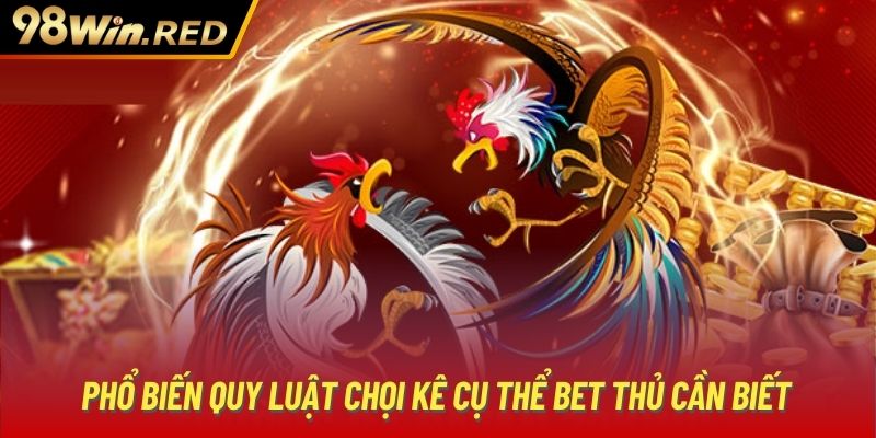 Phổ biến quy luật chọi kê cụ thể bet thủ cần biết