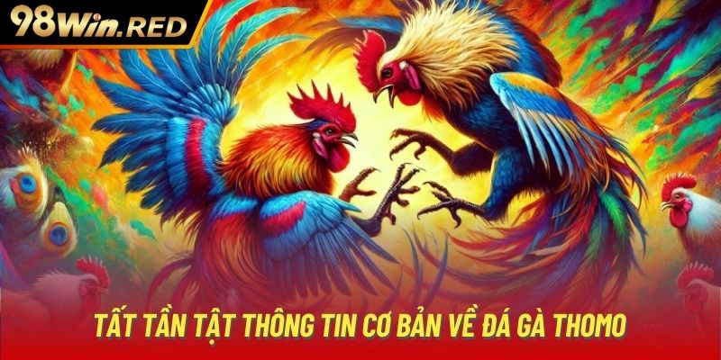 Tất tần tật thông tin cơ bản về đá gà Thomo