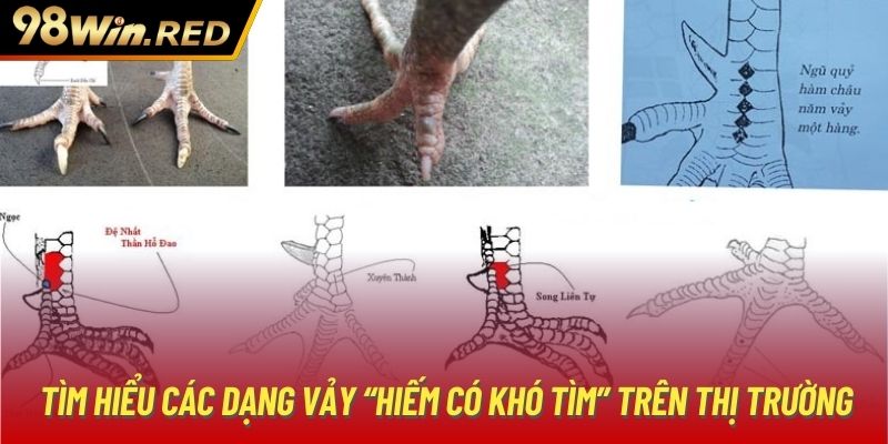 Tìm hiểu các dạng vảy “hiếm có khó tìm” trên thị trường