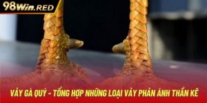 Vảy Gà Quý - Tổng Hợp Những Loại Vảy Phản Ánh Thần Kê