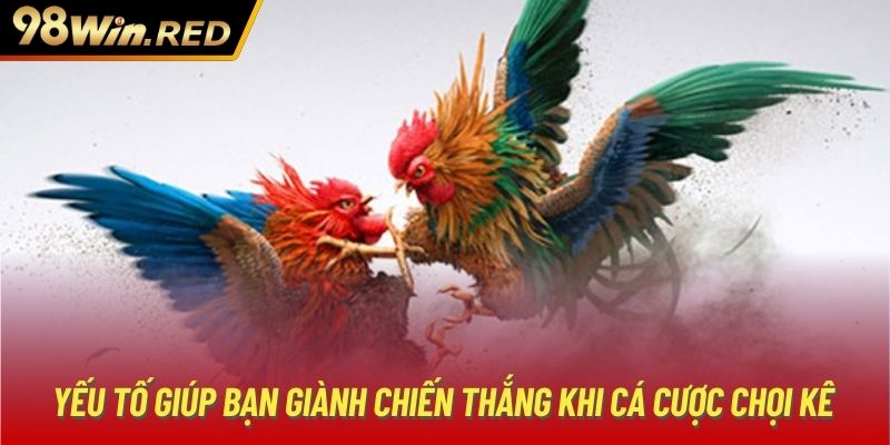 Yếu tố giúp bạn giành chiến thắng khi cá cược chọi kê